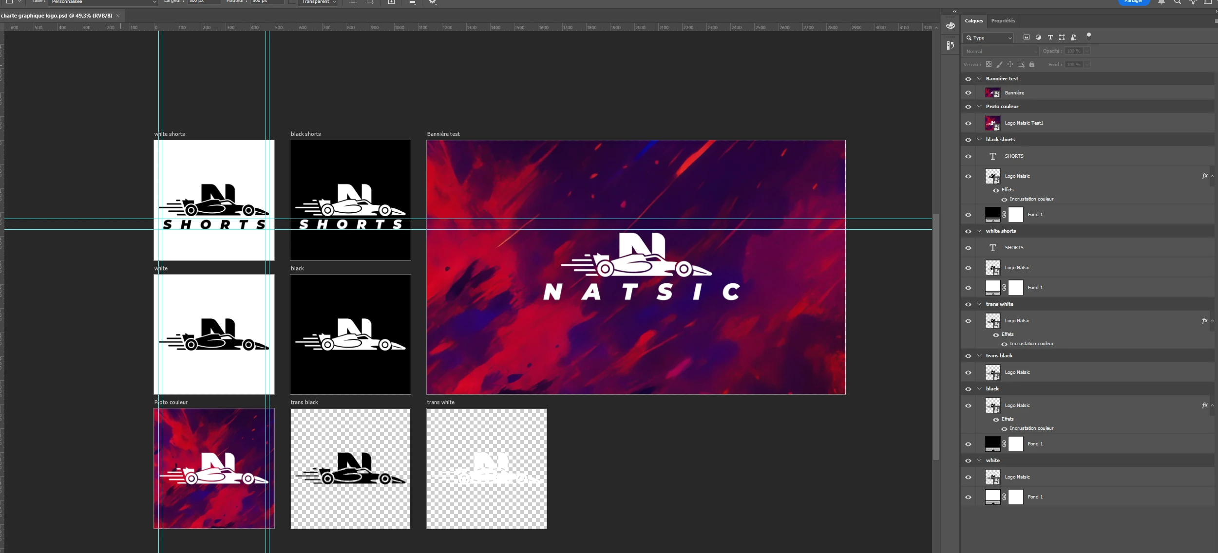 Planche de tests de logos Natsic dans Photoshop