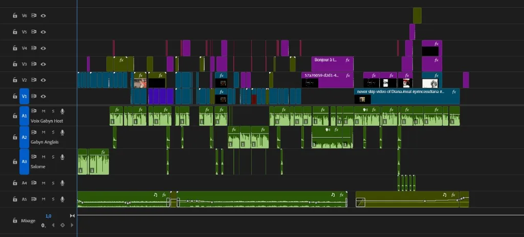 Timeline du montage Lady Diana dans Premiere Pro